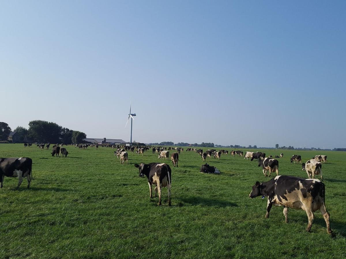 Charming House In Easterlittens On A Frisian Farm Wommels Bagian luar foto