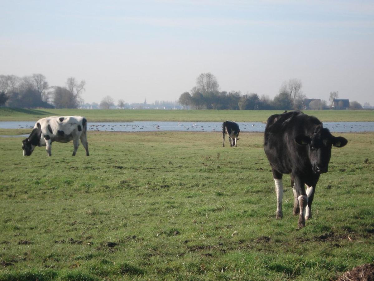 Charming House In Easterlittens On A Frisian Farm Wommels Bagian luar foto